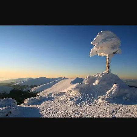 Chopok Juh Ema Superior Lejlighed Tale